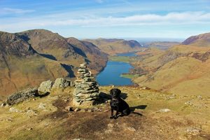 Dasher on Fleetwith Pike